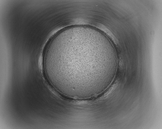 X0000101451030200807211308