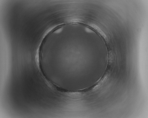 X0000101451031200807211308