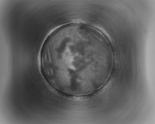 X0000101451032200807211308