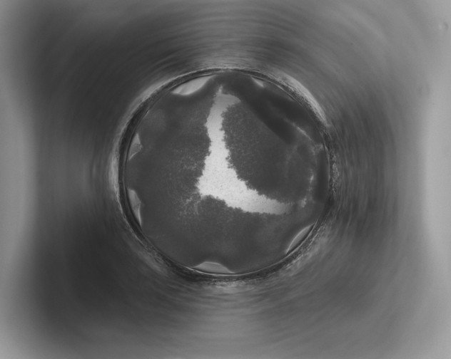 X0000101451035200807211308