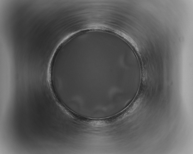 X0000101451037200807211308