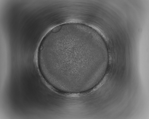 X0000101451038200807211308