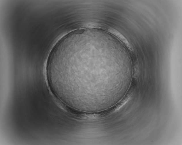 X0000101451039200807211308