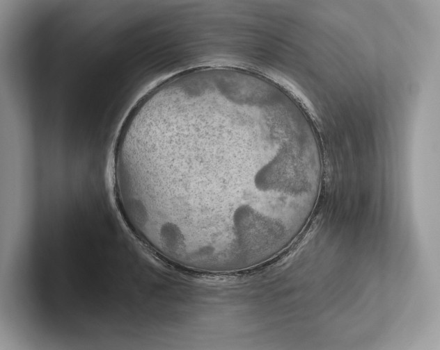 X0000101451040200807211308