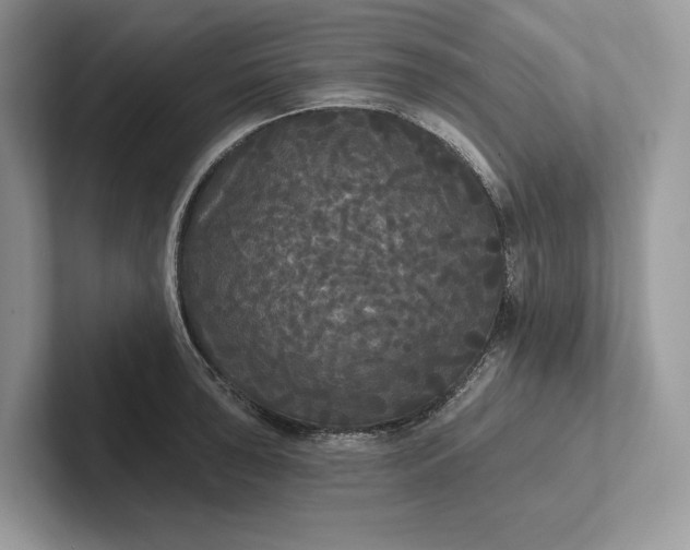 X0000101451043200807211308