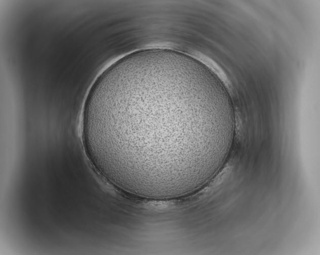 X0000101451044200807211309