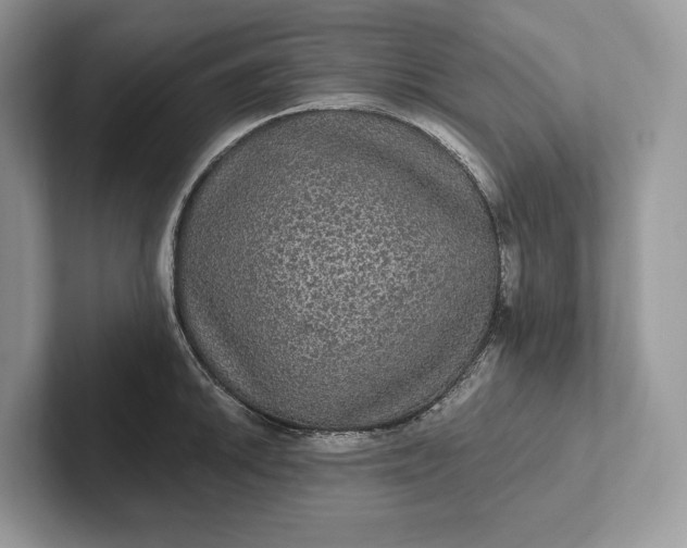 X0000101451046200807211309