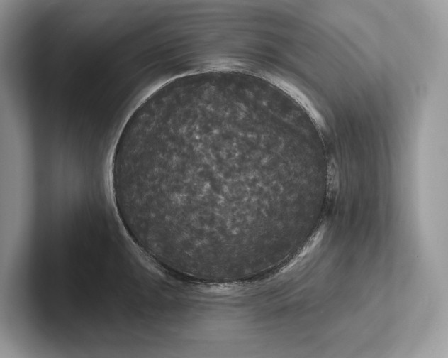 X0000101451047200807211309