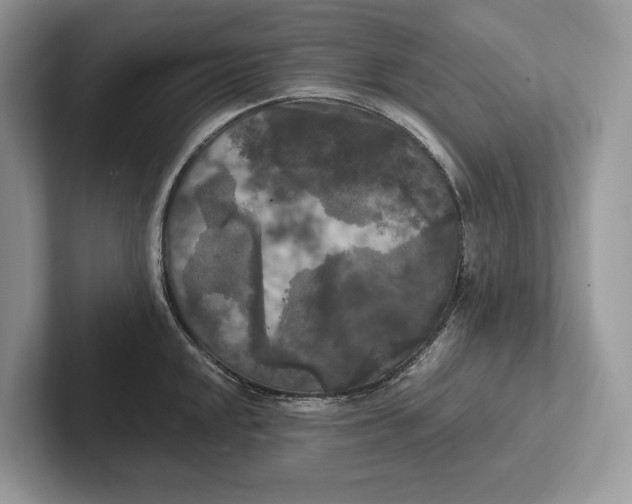 X0000101451048200807211309