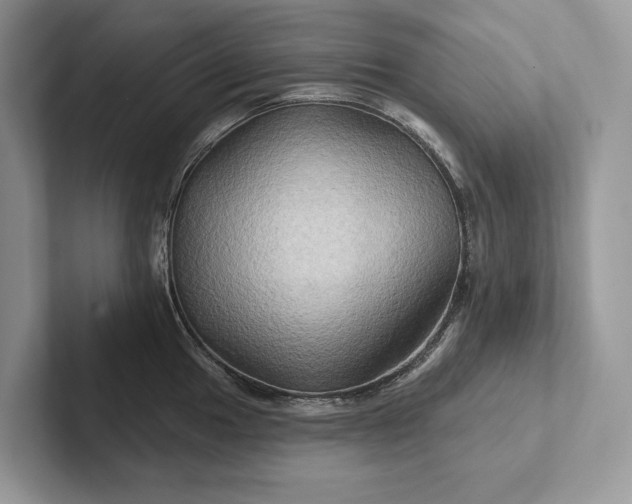 X0000101451049200807211309