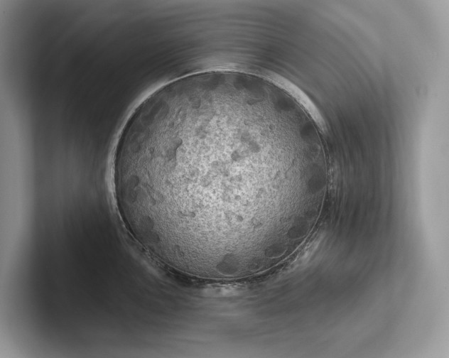 X0000101451051200807211309