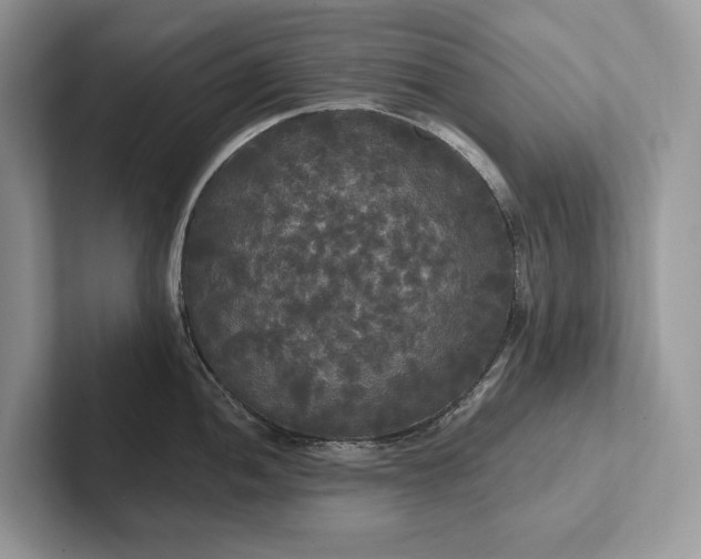 X0000101451052200807211309