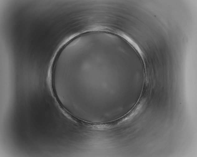 X0000101451053200807211309