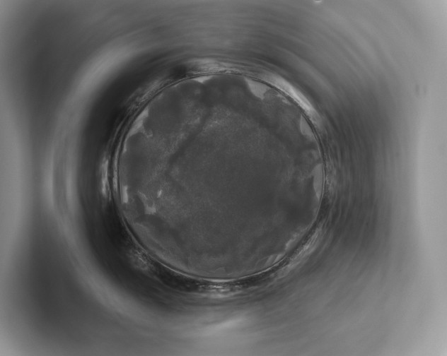 X0000101451055200807211309