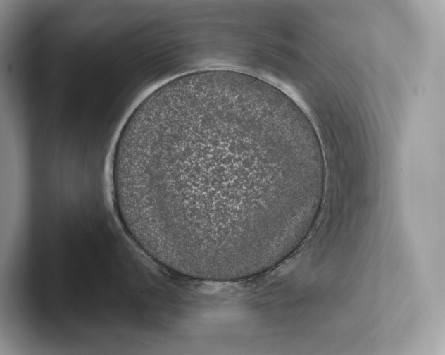 X0000101451056200807211309