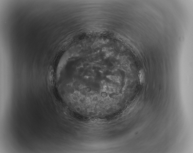 X0000101451059200807211308