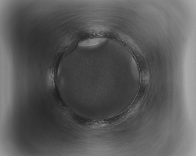 X0000101451060200807211308