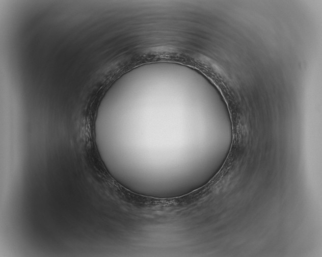 X0000101451062200807211308