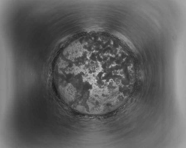 X0000101451063200807211308