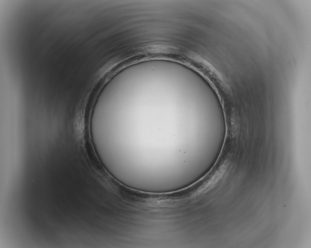 X0000101451065200807211308