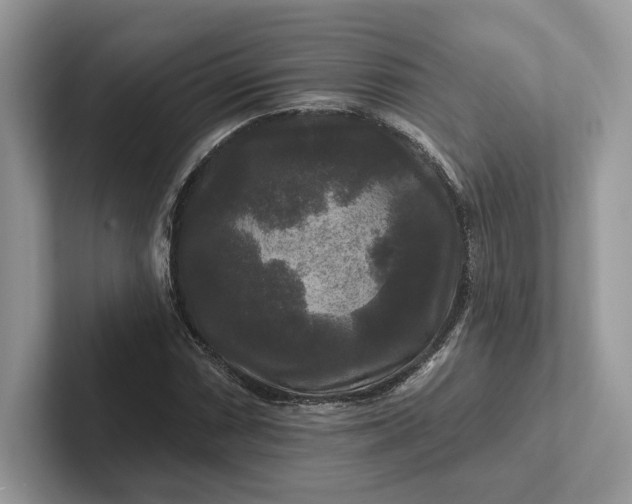 X0000101451066200807211308