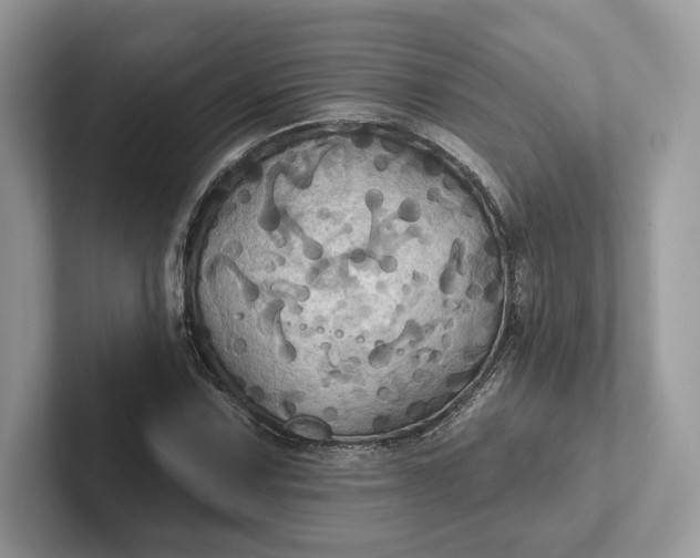 X0000101451067200807211308