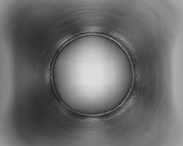 X0000101451073200807211308