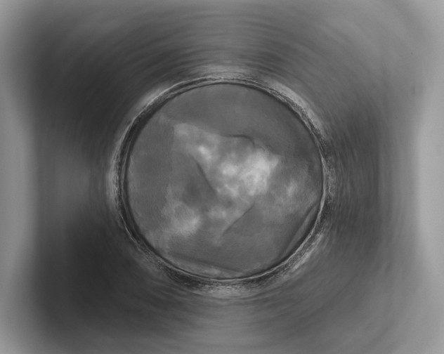 X0000101451074200807211308