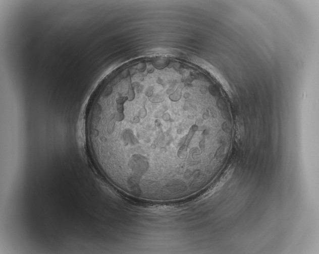 X0000101451075200807211308