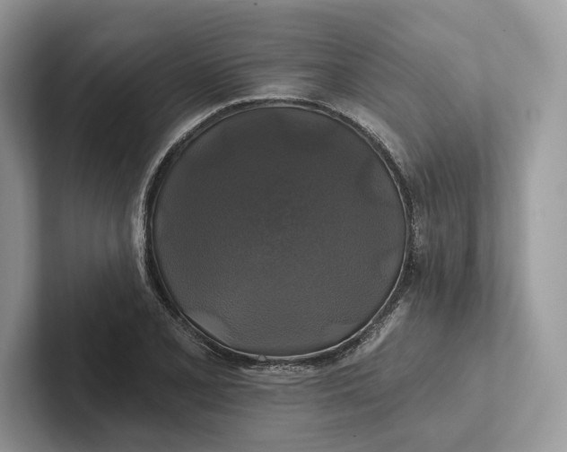 X0000101451077200807211308