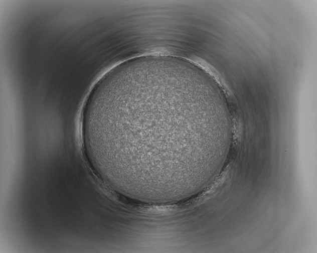 X0000101451078200807211308