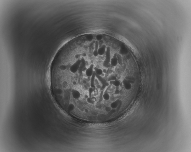 X0000101451079200807211308