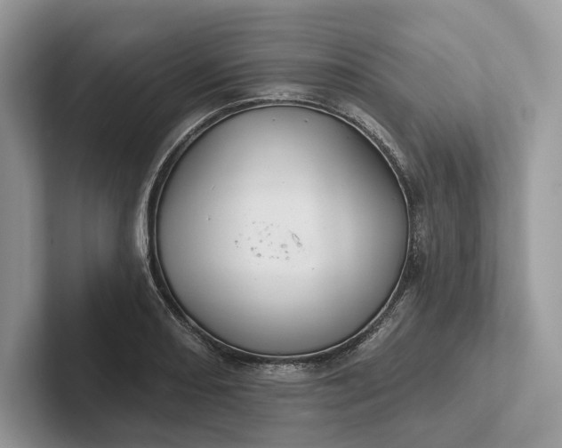 X0000101451082200807211308