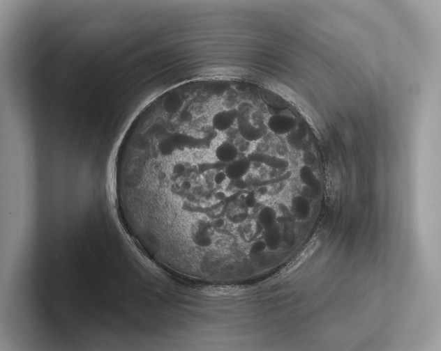 X0000101451083200807211308