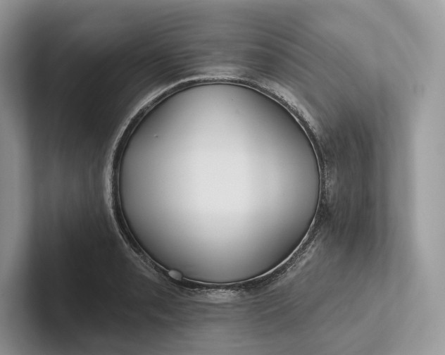 X0000101451085200807211308