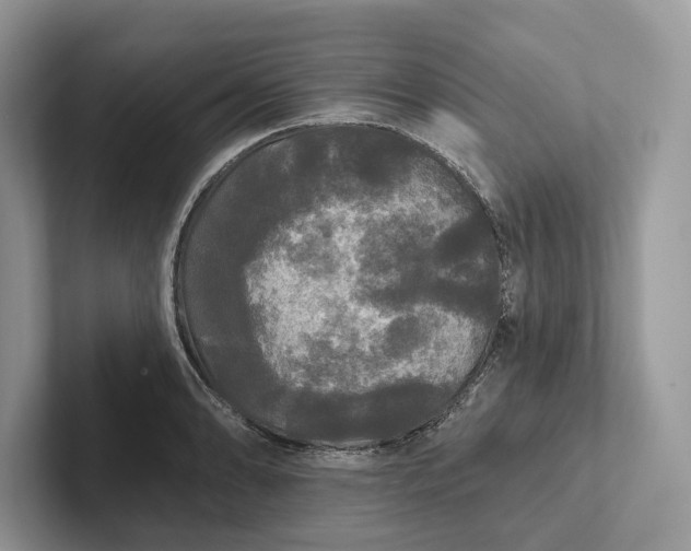 X0000101451086200807211308