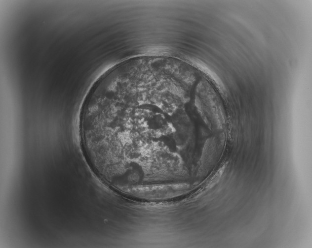 X0000101451087200807211308