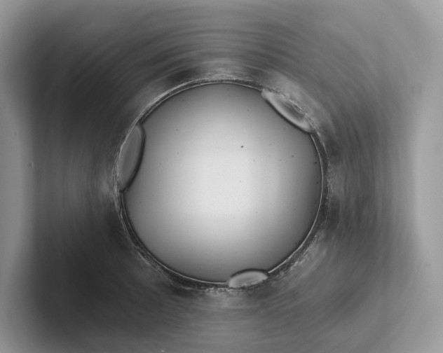 X0000101451089200807211308