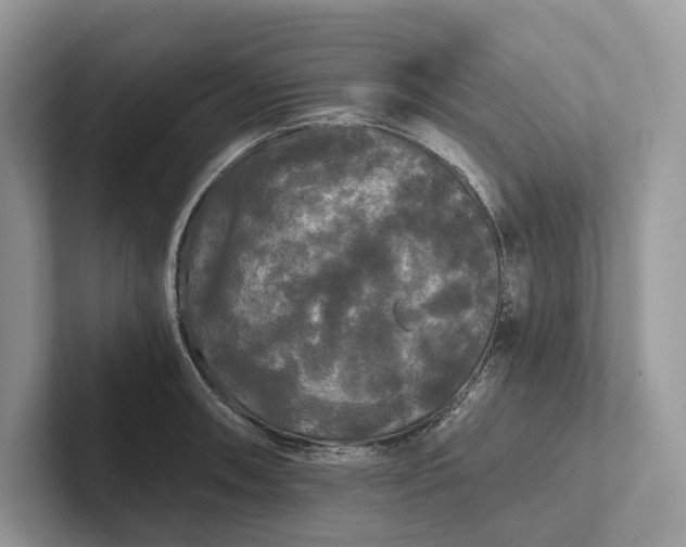 X0000101451090200807211308