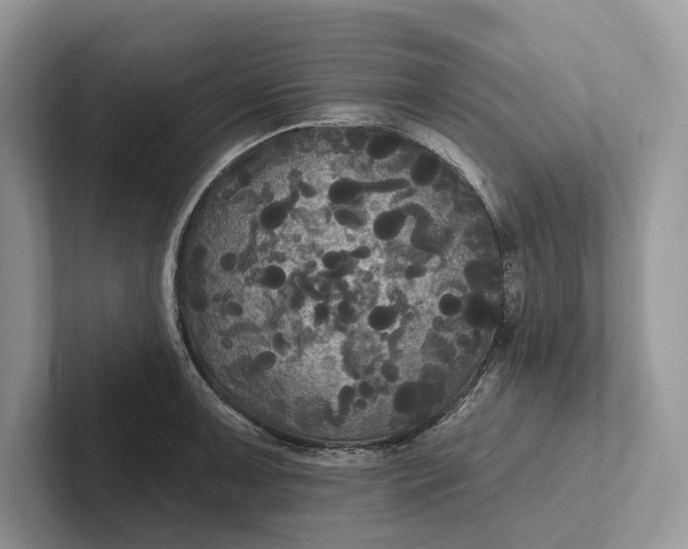 X0000101451091200807211308