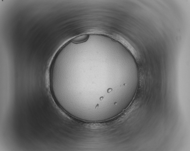 X0000101451092200807211308