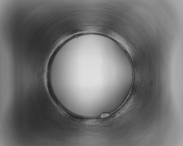 X0000101451093200807211308