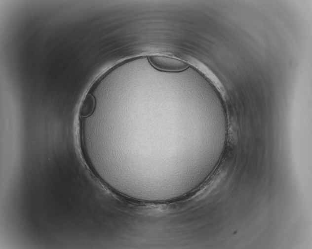 X0000101451096200807211307