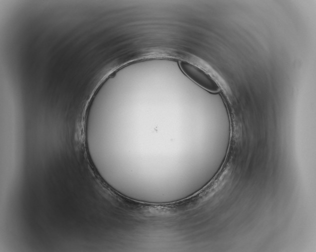 X0000101451097200807211307