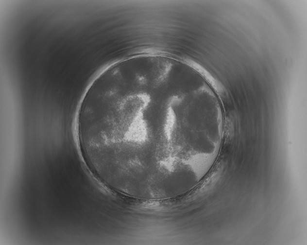 X0000101451098200807211307