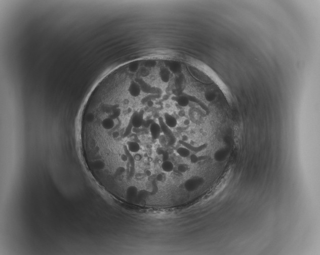 X0000101451099200807211307