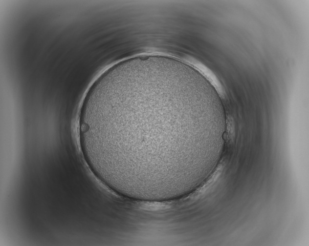 X0000101451100200807211307