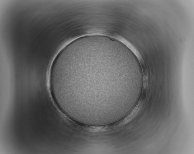 X0000101451101200807211307