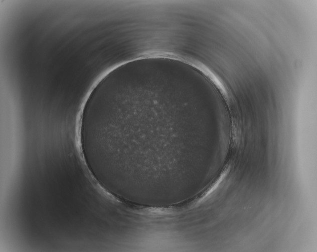 X0000101451102200807211307