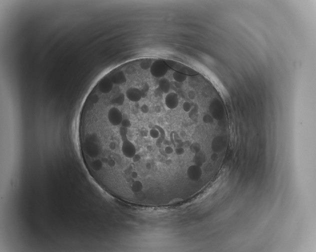 X0000101451103200807211307